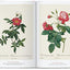 Redouté. Book of Flowers - 40 Years