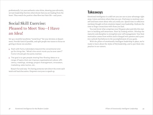 Emotional Intelligence for the Modern Leader: A Guide to Cultivating Effective Leadership and Organizations