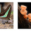 Forests: From the Amazon Rainforest to the Siberian Taiga (Amazing Places Landscape)