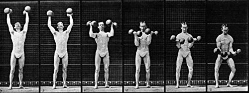 The Human Figure in Motion
