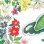 Pop-Up Peekaboo! Butterfly