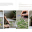 Casting Flowers: A Step-by-Step Guide to Creating Beautiful Botanical Art