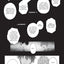 Reincarnated in a Mafia Dating Sim, Volume 4: A Yakuza Heiress Becomes the Top-Ranked Villain's Romantic Target!