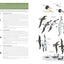National Geographic Field Guide to the Birds of the United States and Canada, 8th edition
