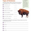 Scholastic Success with Grammar Grade 3 Workbook