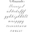 Mastering Copperplate Calligraphy: A Step-by-Step Manual (Lettering, Calligraphy, Typography)