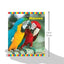 Macaws (The Birdkeepers' Guides)