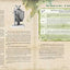 Arcane Arts: The Dungeoneer's Guide to Miniature Painting and Tabletop Mayhem