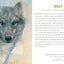 Animal Spirits Knowledge Cards: Paintings by Susan Seddon B