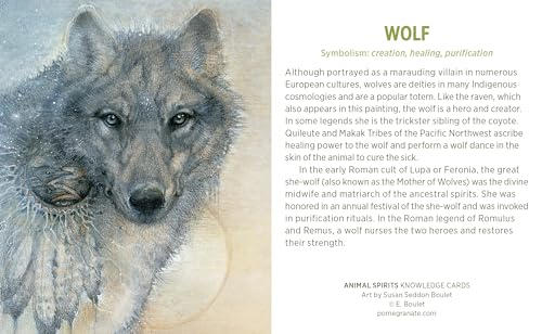 Animal Spirits Knowledge Cards: Paintings by Susan Seddon B