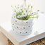Artisan Air-Dry Clay: The Beginner's Guide to Easy, Inexpensive & Stylish No-Kiln Pottery