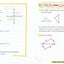Everything You Need to Ace Geometry in One Big Fat Notebook (Big Fat Notebooks)