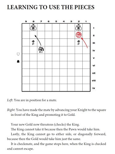 Japanese Chess: The Game of Shogi