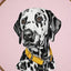Pet Portrait Embroidery: Lovingly Stitch Your Dog or Cat; A Modern Guide to Thread Painting