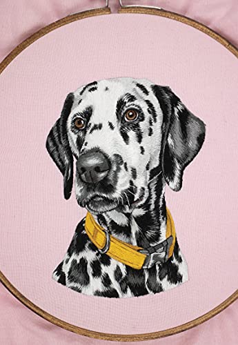 Pet Portrait Embroidery: Lovingly Stitch Your Dog or Cat; A Modern Guide to Thread Painting