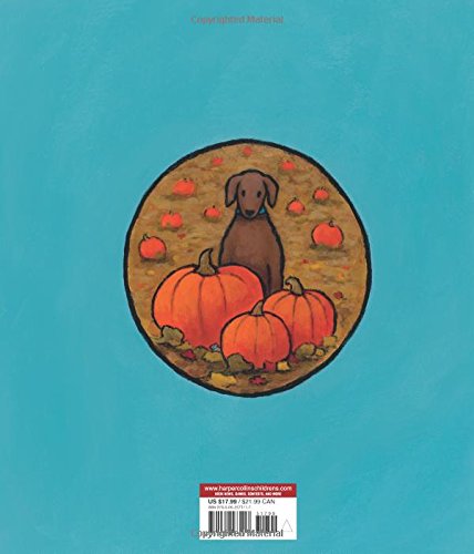 In the Middle of Fall