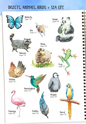 Watercolor Success in Four Steps: 150 Skill-Building Projects to Paint (Design Originals) Learn Watercolor Painting Step-by-Step for Beginners with Easy Techniques and Simple Lessons