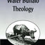 Water Buffalo Theology (25th Anniversary Edition, Revised & Expanded)