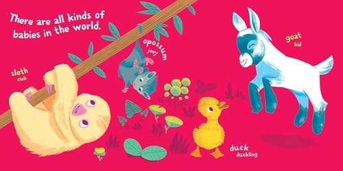 Indestructibles: Baby Animals: Chew Proof  Rip Proof  Nontoxic  100% Washable (Book for Babies, Newborn Books, Safe to Chew)