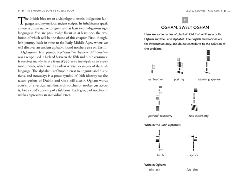 The Language Lovers Puzzle Book: A World Tour of Languages and Alphabets in 100 Amazing Puzzles (Alex Bellos Puzzle Books)