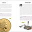 A Kids' Guide to the Periodic Table: Everything You Need to Know about the Elements