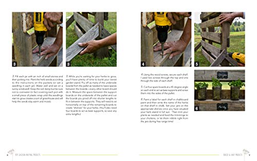 DIY Chicken Keeping from Fresh Eggs Daily: 40+ Projects for the Coop, Run, Brooder, and More!