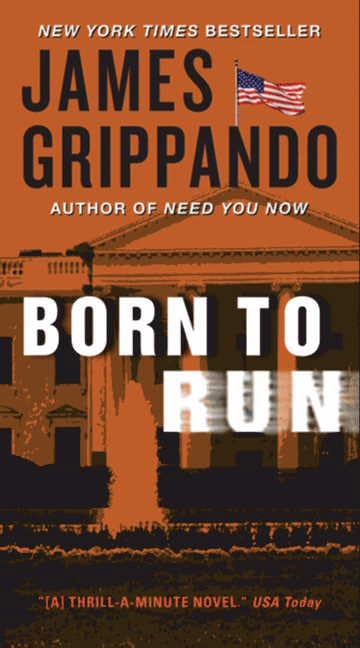 Born to Run (Jack Swyteck Novel, 8)