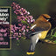 Familiar Birds of North America: Eastern Region (National Audubon Society Pocket Guides)