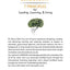 Unforgettable Leadership: 7 Principles for Leading, Learning, & Living