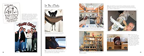 BB3X: Baby Blues: The Third Decade (Volume 37)