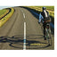 Lifetime Physical Fitness and Wellness