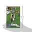 Surviving the Applewhites: A Newbery Honor Award Winner (Applewhites, 1)