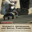 Diversity, Oppression, and Social Functioning: Person-In-Environment Assessment and Intervention
