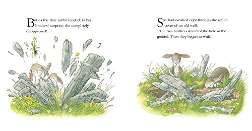 The Rescue Party (A Percy the Park Keeper Story)