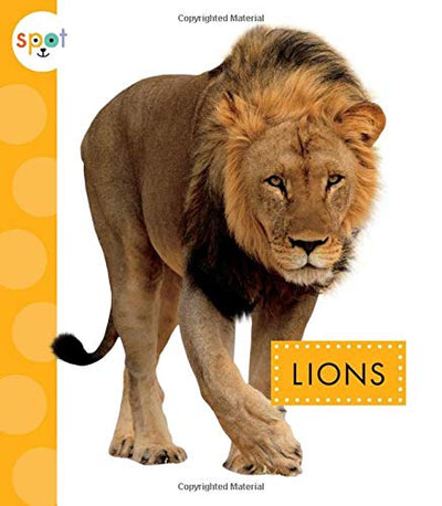 Lions (Spot African Animals)