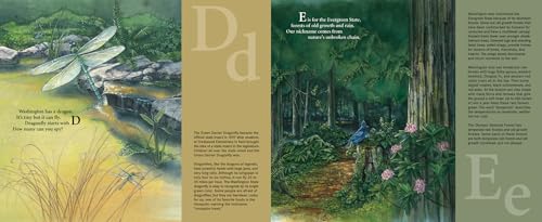 E is for Evergreen: A Washington State Alphabet (Discover America State by State)