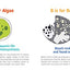 ABCs of Oceanography: Learn about Sea Creatures, Marine Biology, and More with this Essential Ocean Board Book from the #1 Science Author for Kids (Baby University)
