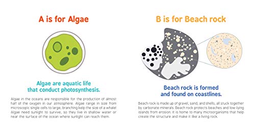 ABCs of Oceanography: Learn about Sea Creatures, Marine Biology, and More with this Essential Ocean Board Book from the #1 Science Author for Kids (Baby University)