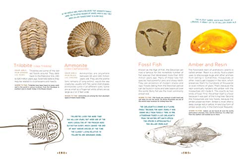 Cabinet of Curiosities: Collecting and Understanding the Won