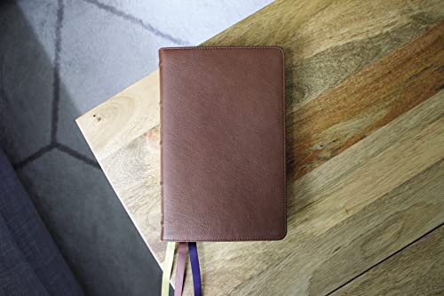 NIV, Thinline Bible, Premium Goatskin Leather, Brown, Premier Collection, Black Letter, Art Gilded Edges, Comfort Print