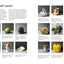 Easy Oil Painting: Beginner Tutorials for Small Still Life (Design Originals) 9 Step-by-Step Projects of Simple Subjects for 4-Inch Square or Smaller Canvases, Technique Lessons, and Sketches to Trace