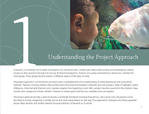 Picturing the Project Approach: Creative Explorations in Early Learning