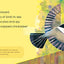 Birding for Babies: Backyard Birds: A Numbers Book