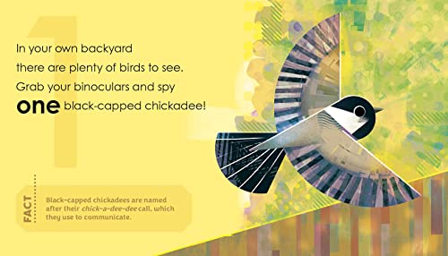 Birding for Babies: Backyard Birds: A Numbers Book