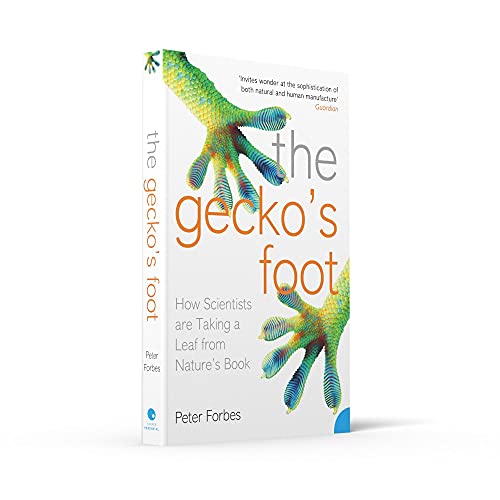 The Geckos Foot: How Scientists are Taking a Leaf from Nature's Book
