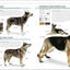 The Complete Dog Breed Book, New Edition
