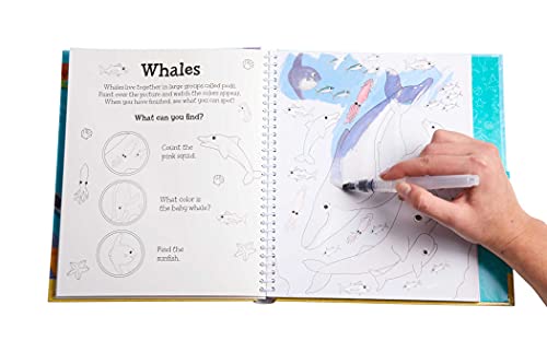 Magical Water Painting: Under the Sea: (Art Activity Book, Books for Family Travel, Kids' Coloring Books, Magic Color and Fade) (iSeek)