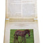 Safari: A Photicular Book