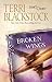 Broken Wings (Second Chances Series #4)