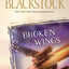 Broken Wings (Second Chances Series #4)